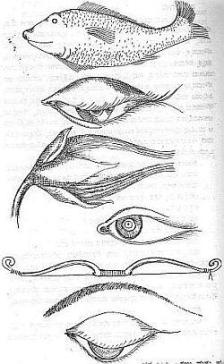 Eyes- Vishnudharmottara