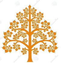 golden-bodhi-tree-symbol-thai-style-isolate-background-vector-illustration-54289542