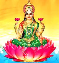 Lakshmi Lotus